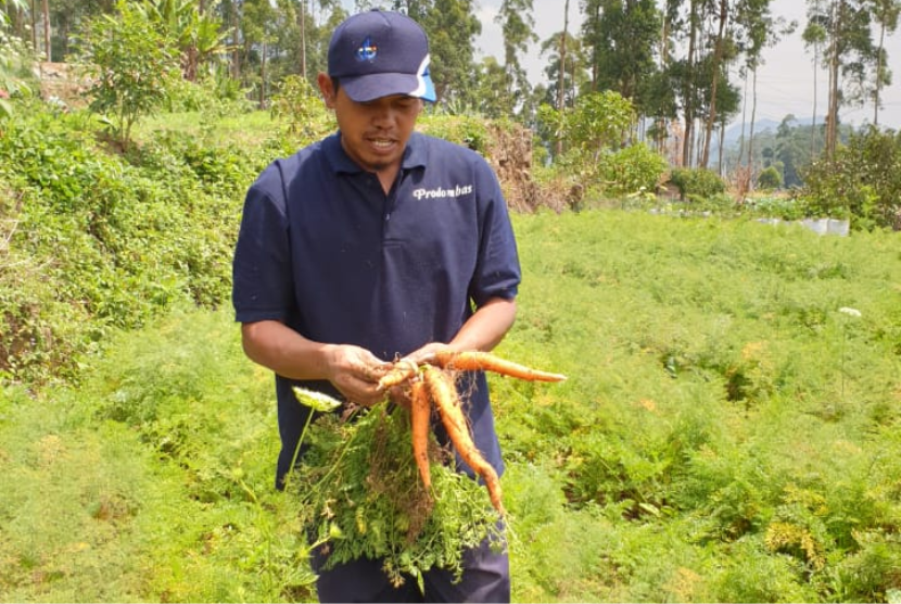 Cuandi Yusuf (38 tahun), salah satu petani penerima manfaat, mengapresiasi dukungan Pertamina. Di masa pandemi, dia mengakui, suntikan modal akan menambah semangat petani.