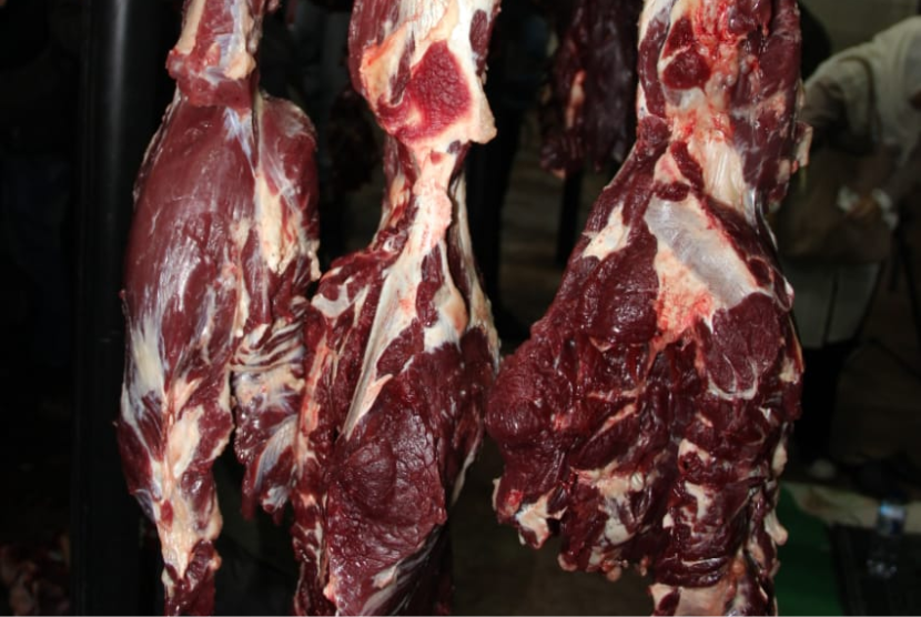 Kementerian Pertanian (Kementan) menyampaikan stok ketersediaan daging komoditas hewani khususnya ruminansia masih tersedia cukup. Hal ini hasil dari pemantauan yang dilakukan sejak H-7 Idul Fitri 1442 H sampai pasca Lebaran.