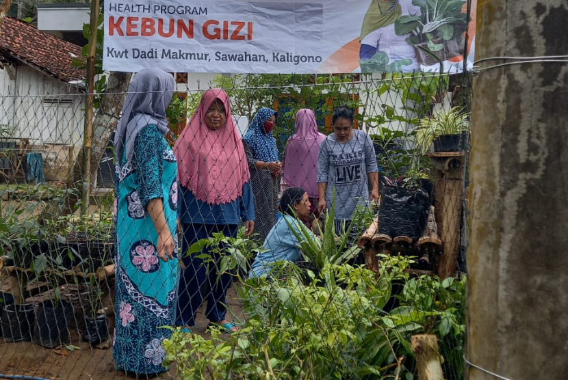 Untuk mewujudkan Desa Sehat, Rumah Zakat meluncurkan program Kebun Gizi di Desa Kaligono, Kecamatan Kaligesing.