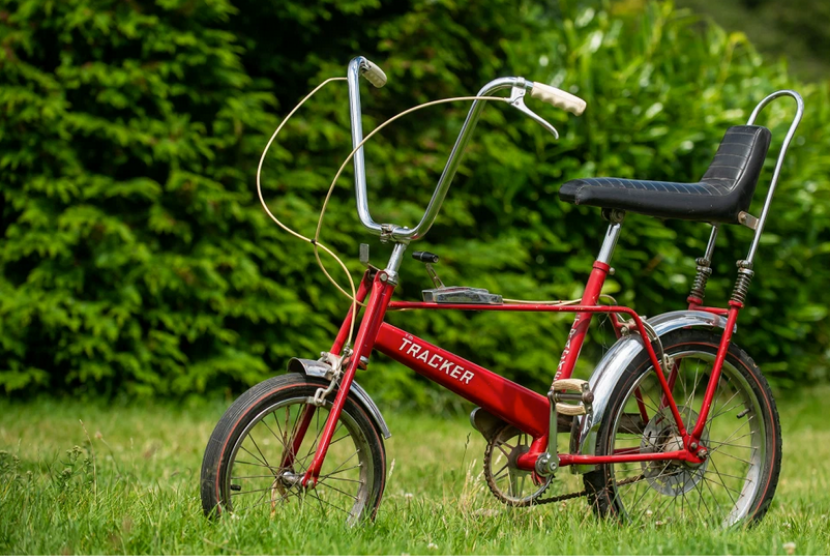 Sepeda masa kecil Putri Diana akan dilelang pada 24 Juli.