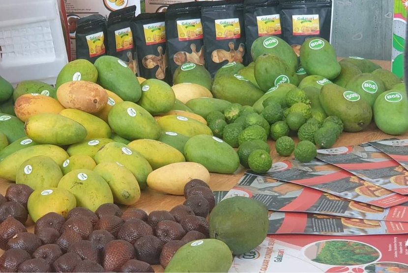  Kementerian Pertanian (Kementan) melakukan eksebisi potensi buah segar Indonesia ke pasar Eropa. 