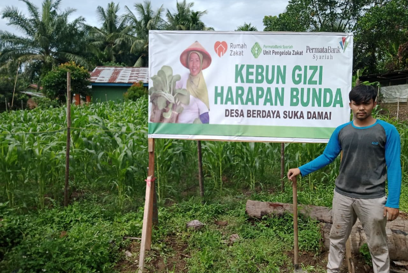 Serangan hama membuat tanaman jagung di kebun gizi milik Fadhihul Hadi yang terletak di Jalan Kaswari RT 01 RW 02 Desa Sukadamai tidak tumbuh maksimal.