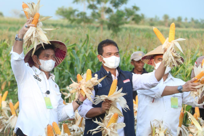 Menteri Pertanian Syahrul Yasin Limpo (Mentan SYL) menghadiri panen raya jagung di Desa Baumata, Kecamatan Tabenu, Kabupaten Kupang, Nusa Tenggara Timur (NTT). 