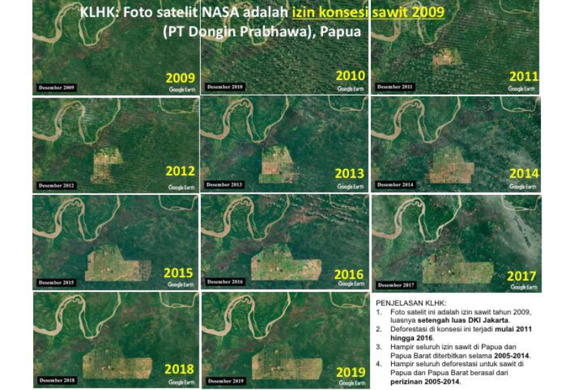 KLHK menggaris-bawahi bahwa deforestasi di konsesi sawit PT Dongin Prabhawa mulai dilakukan oleh pihak perusahaan pada tahun 2011, dua tahun setelah pelepasan kawasan hutan untuk pembangunan sawit tersebut, yang diberikan pada awal Oktober 2009.