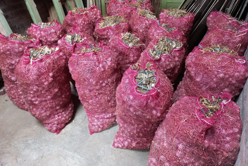 Kebutuhan bawang putih nasional bulan Ramadhan hampir dua kali lipat dari stok saat ini (ilustrasi).