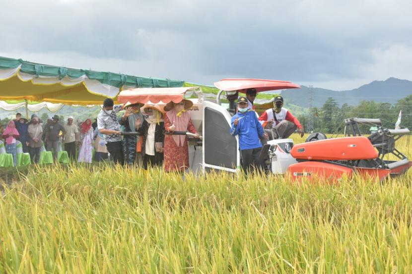 Kementerian Pertanian mencanangkan pertanaman perdana indeks pertanaman (IP)400 atau tanam dan panen empat kali setahun di Kabupaten Bima, Nusa Tenggara Barat (NTB).
