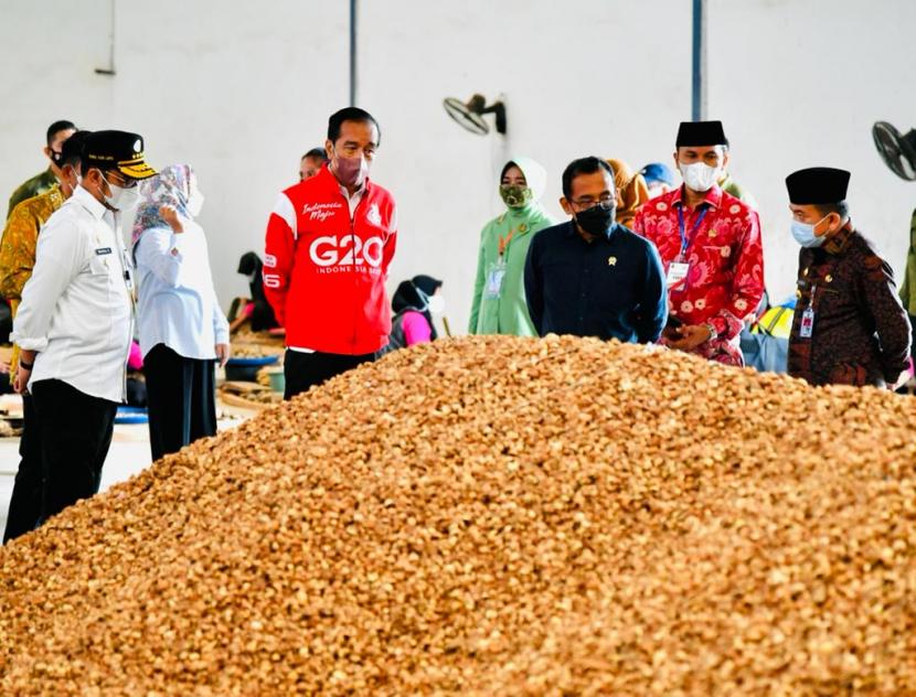Menteri Pertanian Syahrul Yasin Limpo mendampingi Presiden Jokowi melepas ekspor pinang biji di Provinsi Jambi, Jumat (8/4/2022). BPS merilis ekspor pertanian pada bulan Maret 2022 mencapai 430 juta dolar AS. Ilustrasi.