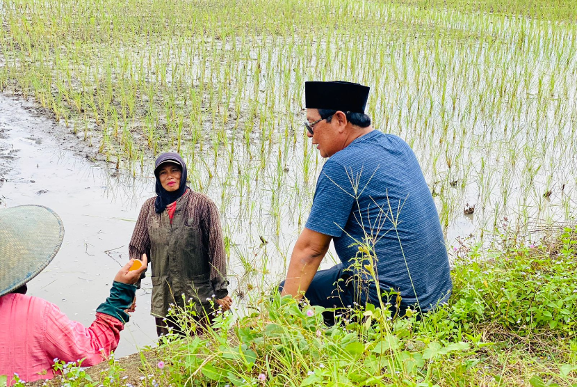 Gubernur Kalimantan Selatan H Sahbirin Noor di sela kegiatan dinas menyempatkan waktu bercengkrama ringan dengan masyarakat petani Panyipatan, Kabupaten Tanah Laut Kalsel.