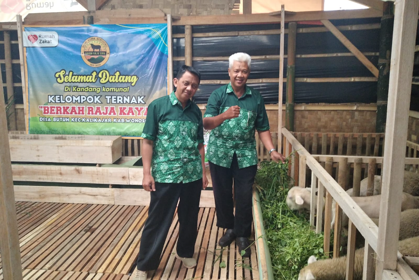 BUMMas Berkah Raja Kaya binaan Rumah Zakat melaksanakan kegiatan launching kandang komunal dombos. 