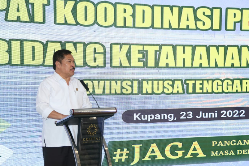 Inspektur Jenderal (Irjen) Kementerian Pertanian (Kementan) Jan Samuel Maringka, saat berbicara pada rapat koordinasi (Rakor) bidang ketahanan pangan di Kupang, Kamis (23/6/2022).