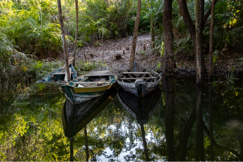Pemandangan Desa Manaus, Amazonas Brasil, sebelum mengalami kekeringan parah (Foto ilustrasi)