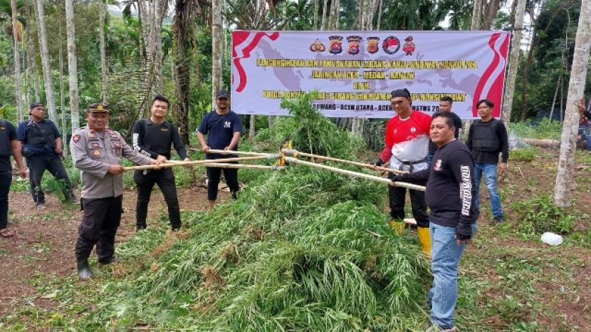 Ditresnarkoba Polda Banten kembali berhasil mengungkap tindak pidana peredaran narkoba jenis ganja. Ladang ganja 3 hektare ditemukan di Desa Kurung Aceh Utara 