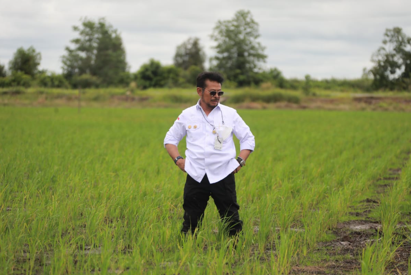 Menteri Pertanian Syahrul Yasin Limpo (Mentan SYL) melakukan pengawalan gerakan tanam padi di kawasan Food Estate di Kapuas, Kalimantan Tengah.