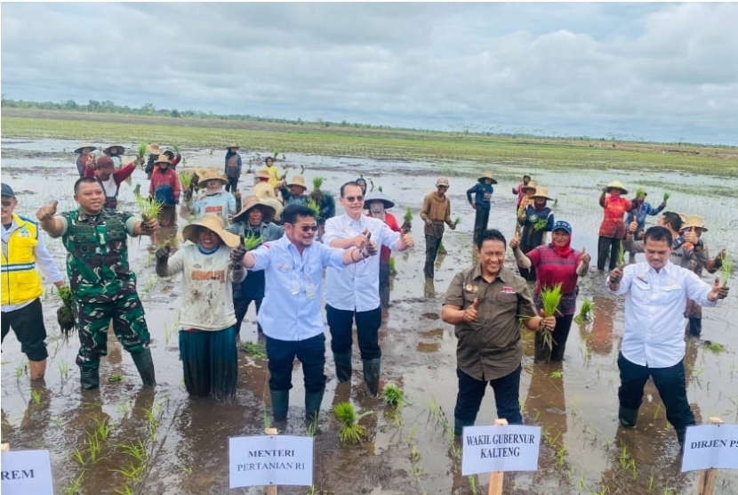 Wakil Gubernur (Wagub) Kalimantan Tengah (Kalteng) Edy Pratowo dampingi kunjungan kerja Menteri Pertanian RI Syahrul Yasin Limpo ke Kawasan Food Estate, Sabtu (26/11/2022).