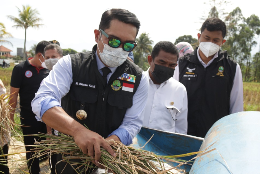 Provinsi Jawa Barat sebagai sentra produksi beras kedua nasional setelah Jawa Timur memiliki stok beras saat ini di akhir tahun 2022 sebanyak 51.199 ton sehingga siap memasok kebutuhan beras nasional terutama ke wilayah Jabodetabek, utamanya di hari Natal dan Tahun Baru 2023.