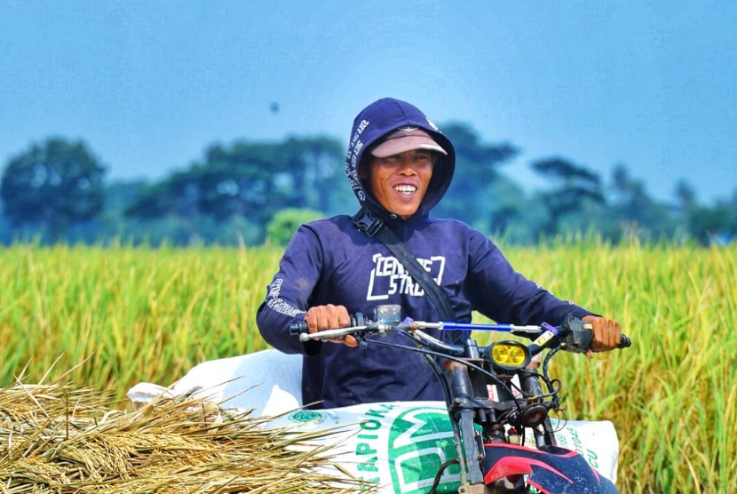 Ketua Kontak Tani Nelayan Andalan (KTNA Kabupaten Bekasi), Mulyana, memastikan kebutuhan dan pasokan beras di wilayahnya dalam kondisi aman dan melimpah.