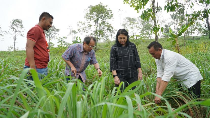 Petani serai wangi binaan Yayasan Dharma Bhakti Astra (YDBA), Adang Sabroni (kanan) didampingi Koordinator Lembaga Pengembangan Bisnis (LPB) YDBA di Lebak, Dani Kurnia (kiri) saat menunjukkan langkah memanen serai wangi kepada Ketua Pengurus YDBA, Sigit P. Kumala (kedua kiri) dan Sekretaris Pengurus YDBA, Ida R. M. Sigalingging (kanan) seusai peresmian LPB Lebak, Banten (15/02). LPB Lebak didirkan sebagai cabang YDBA di daerah dengan fokus pada pembinaan sektor UMKM pertanian yang berperan sebagai manager program, motivator dan konsultan mendampingi UMKM di wilayah tersebut secara rutin dan konsisten.