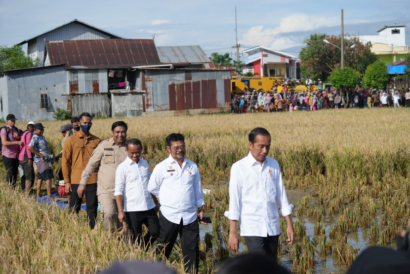 Presiden Joko Widodo (Jokowi) dan Menteri Pertanian Syahrul Yasin Limpo meninjau jalannya panen raya padi di Kelurahan Baji Pamai, Kecamatan Maros Kota, Kabupaten Maros, Sulawesi Selatan.