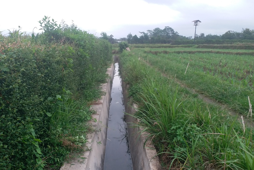 Pembenahan infrastruktur pertanian berupa Rehabilitasi Jaringan Irigasi Tersier (RJIT) untuk mengairi lahan sawah seluas 50 hektare (Ha) di Desa Bendosewu, Kecamatan Talun, Kabupaten Blitar, Jawa Timur.