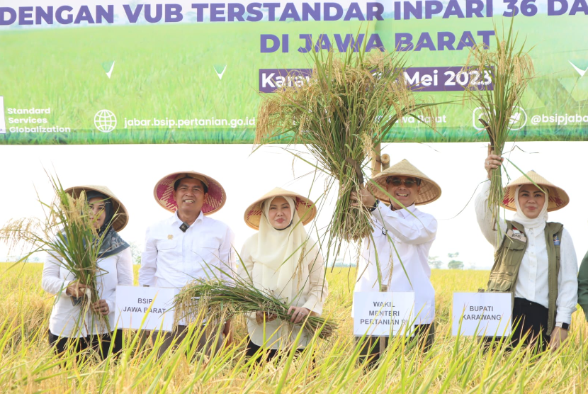 Wakil Menteri Pertanian RI (Wamentan), Harvick Hasnul Qolbi, meninjau panen raya padi di Desa Pulomulya, Kecamatan Lemahabang, Kabupaten Karawang, Jawa Barat. 