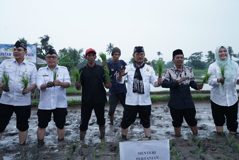 Mentan Syahrul Yasin Limpo saat penanaman padi di lahan Poktan Jaliti, Kampung Cigunung, Desa Cimanuk, Pandeglang, Banten, Selasa (18/7/2023).