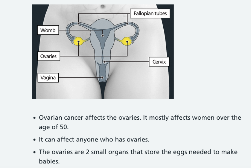 Laman edukasi kanker ovarium National Health Service (NHS) Inggris kembali memakai istilah women setelah menggantinya dengan frasa netral gender pada tahun lalu.