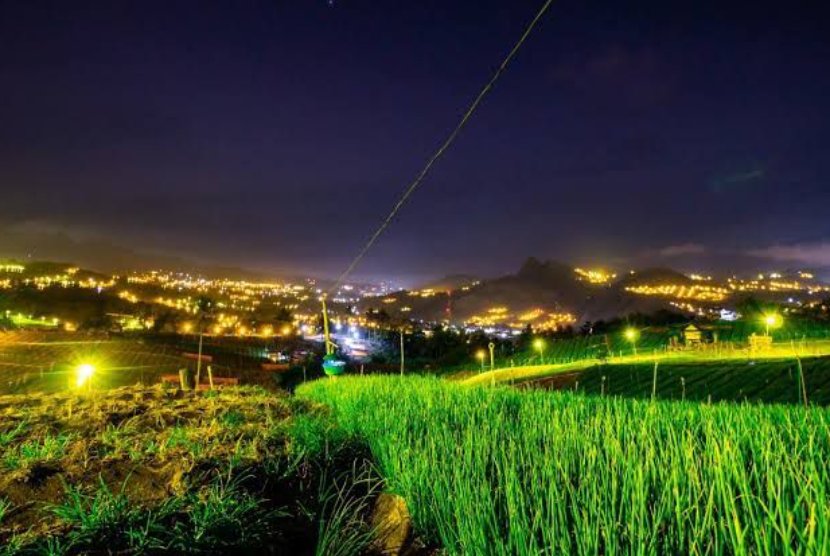 Electrifying agriculture dengan menggunakan lampu pada malam hari untuk meminimalisir hama, (ilustrasi)