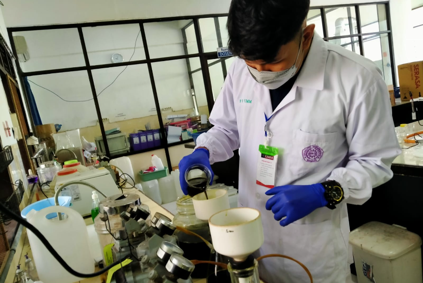 Mahasiswa Universitas Muhammadiyah Malang (UMM) meneliti buah leunca yang dapat digunakan sebagai bahan alat kontrasepsi. 