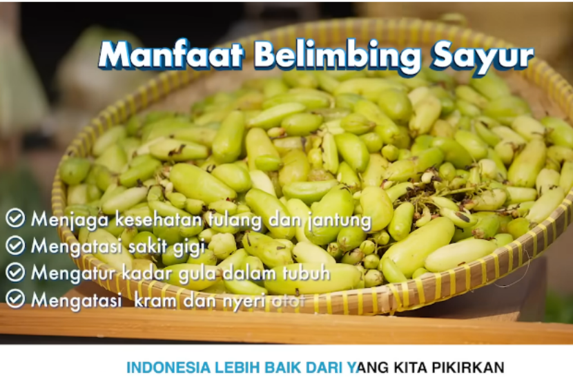 Cuplikan video musik Oke Gas Prabowo Gibran Paling Pas memuat tampilan manfaat belimbing sayur.