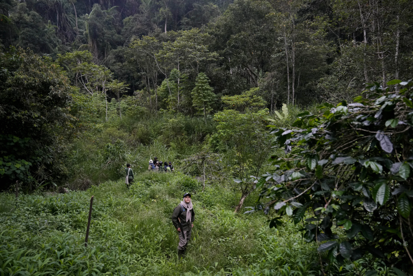 Pemimpin jagawana, Sumini, beristirahat saat melakukan patroli hutan di Damaran Baru, Provinsi Aceh, Selasa (7/5/2024) 