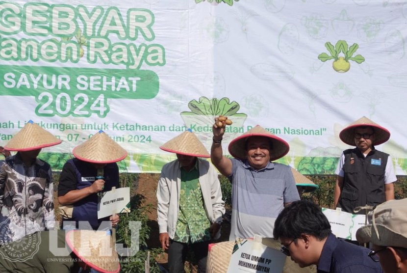 Rektor Universitas Muhammadiyah Jakarta (UMJ) Prof. Dr. Ma’mun Murod, M.Si., dalam Gebyar Panen Raya Sayur Sehat 2024 di Pengalengan, Kabupaten Bandung, Jawa Barat, Sabtu (8/6/2024).