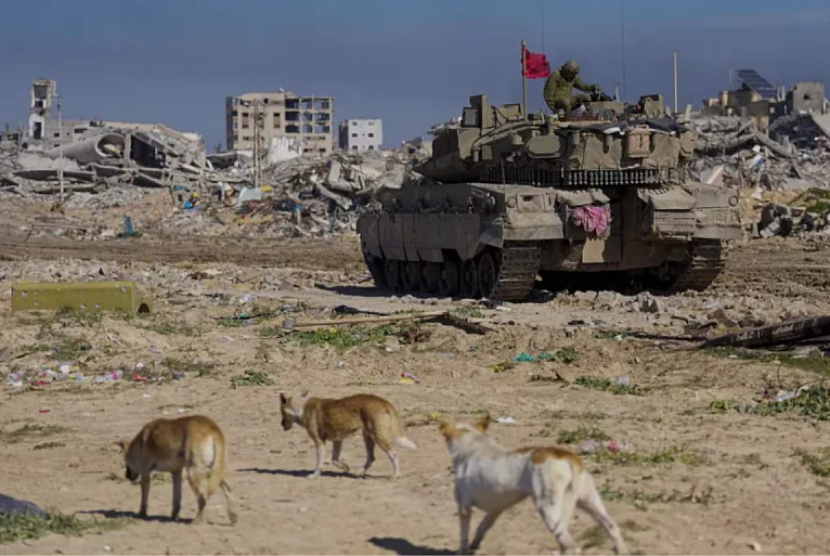 Sejumlah anjing liar mendekati tank Israel di Gaza beberapa waktu lalu.