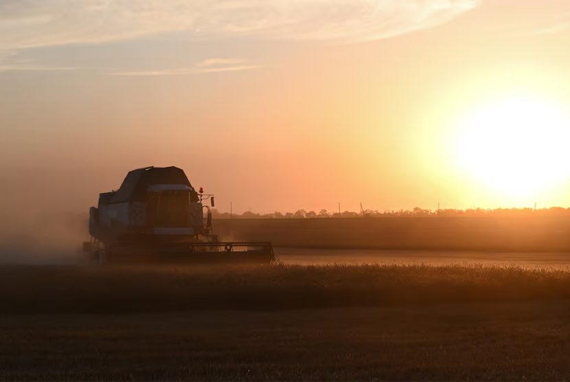 Proses panen gandum di Rostov, Rusia, 10 Juli 2024. Cuaca panas mengancam produksi gandum di Rusia