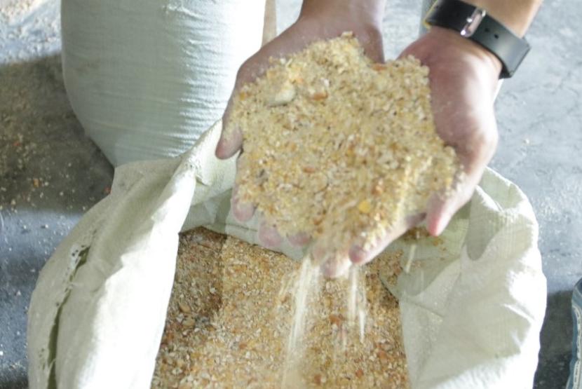 Bea Cukai Tanjung Perak gelar pemusnahan corn kernel (jagung pipil) sebanyak 96 ton pada Jumat (12/7/2024). Pemusnahan dilaksanakan di Plant PT Seger Agro Nusantara, Jalan Raya Waringin Anom 30, Kabupaten Gresik, Jawa Timur.