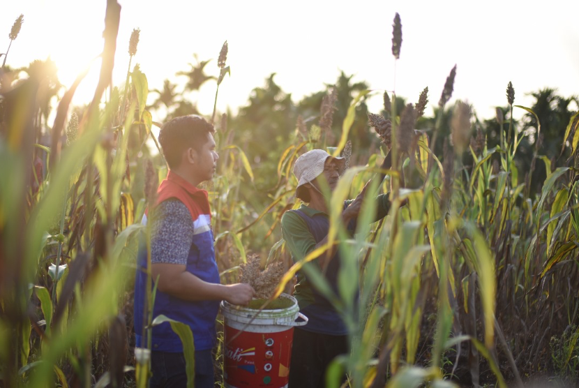 PT Pertamina (Persero) dinobatkan sebagai perusahaan paling bertanggung jawab dengan memborong 42 penghargaan dalam Nusantara CSR Awards 2024.