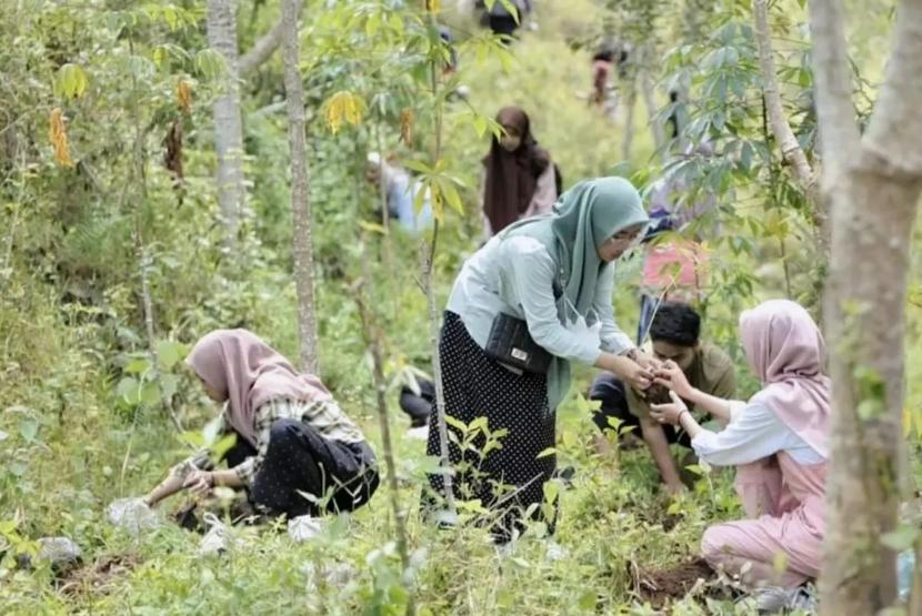 PT PLN (Persero) melibatkan warga menanam tanaman gamal, kaliandra merah, indigofera, dan gmelina di Gunungkidul, DI Yogyakarta. 