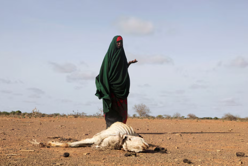 Warga Somalia berdiri di dekat bangkai ternaknya yang mati akibat kekeringan parah di dekat Dollow, Wilayah Gedo, Somalia, 26 Mei 2022.