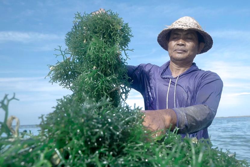 Wayan Sugarta berterima kasih kepada BRI yang selama ini telah memberi dukungan pemberdayaan sarana pendukung produksi seperti jaring dan tali sehingga sangat membantu kelompok meningkatkan kapasitas produksi rumput laut.