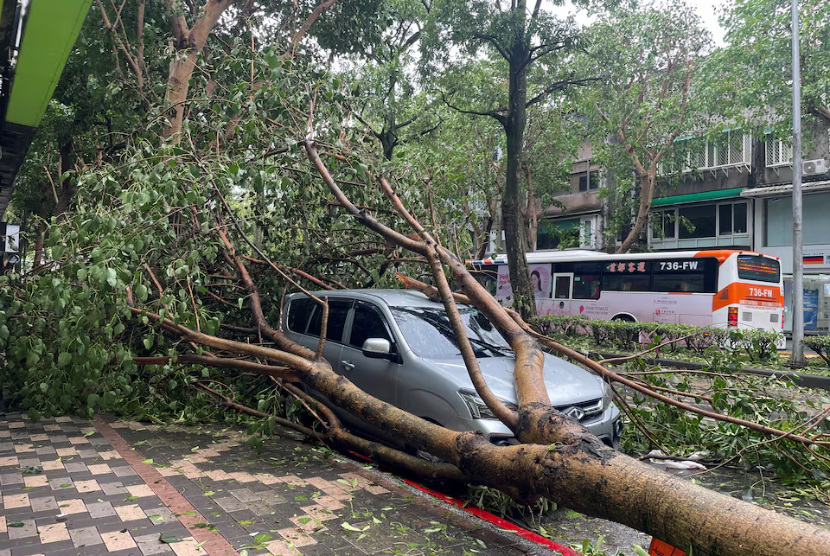  Pohon tumbang menimpa pohon setelah Topan Kong-rey melanda Taipei, Taiwan, Jumat (1/11/2024). 