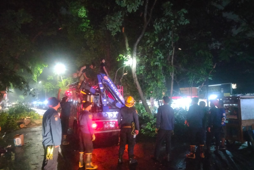 Petugas dari Dinas Kebakaran dan Penanggulangan Bencana mengevaluasi pohon tumbang di Jalan Gelap Nyawang, Kecamatan Coblong, Kota Bandung, Sabtu (2/11/2024) malam. 