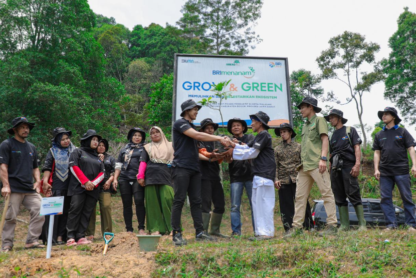 BRI Peduli dan Yayasan BakauMU, perlahan KTH Pabangbon semakin bertumbuh dan memiliki kegiatan usaha yang lebih terorganisir. 