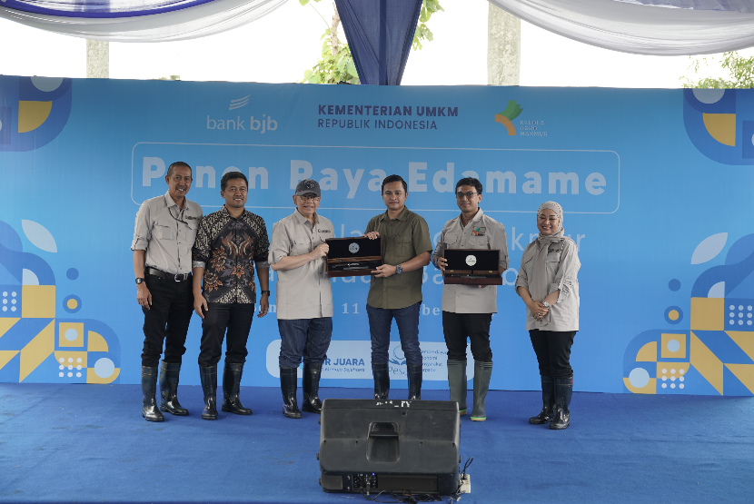 Bank bjb Bersama Petani Mitra Binaan Lakukan Panen Raya Komoditi Edamame