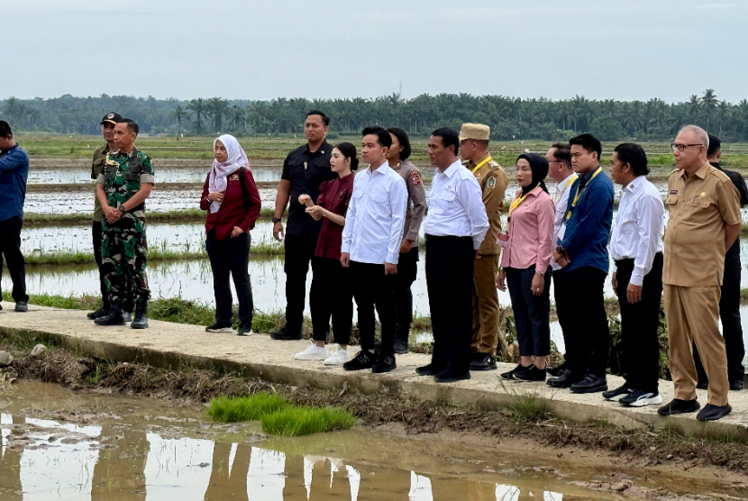 Wakil Presiden Republik Indonesia, Gibran Rakabuming Raka, melakukan penanaman padi di Kabupaten Langkat, Sumatera Utara, pada Selasa (24/12/2024) pagi didampingi oleh Menteri Pertanian (Mentan) Andi Amran Sulaiman.