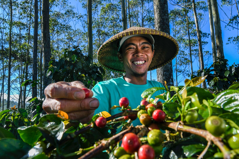 PT Bank Rakyat Indonesia (Persero) Tbk. (BRI) kembali menegaskan komitmennya dalam menerapkan praktik sustainable finance melalui penerbitan obligasi hijau. 