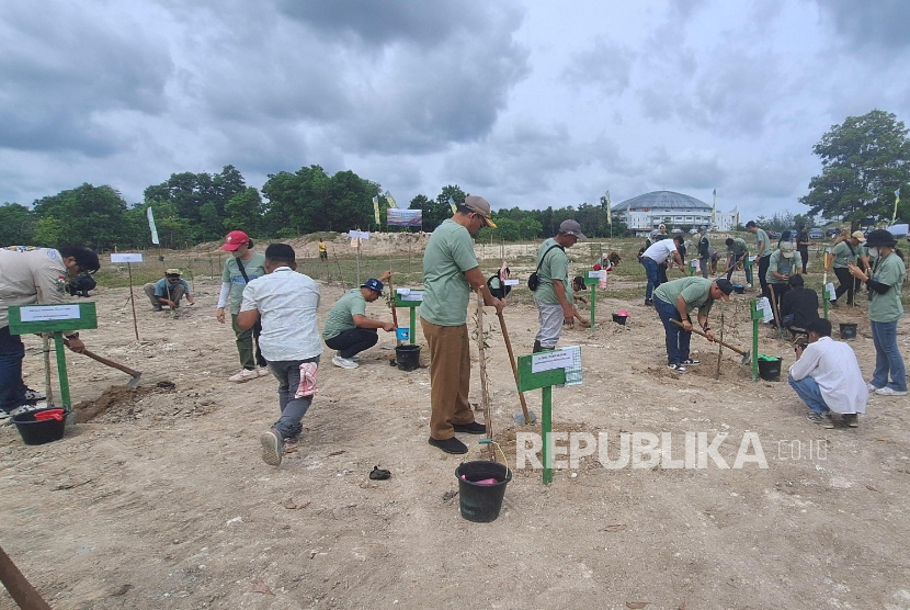 PT Permodalan Nasional Madani Cabang Kepulauan Bangka Belitung bersama BRI Insurance berkolaborasi melakukan penanaman 1.000 bibit pohon jambu mete dan kayu putih. 