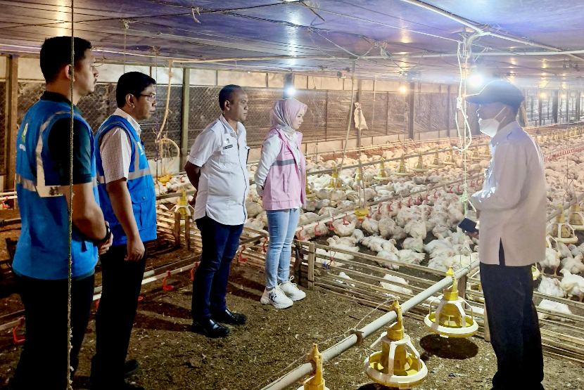 Kandang ayam close house milik Tabroni di Kecamatan Sajira, Kabupaten Lebak, Banten, bergantung pada listrik 24 jam untuk menjaga suhu kandang tetap stabil, memastikan kelangsungan hidup ayam, dan meningkatkan produksi telur.