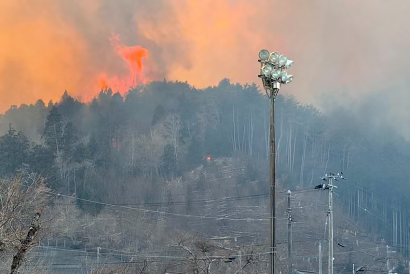 Kondisi kebakaran hutan di Ofunato, Prefektur Iwate.