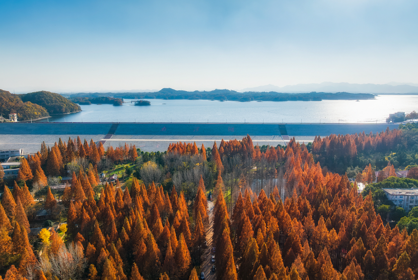 Taman Hutan Nasional Nanwan di Xinyang City, Cina. 