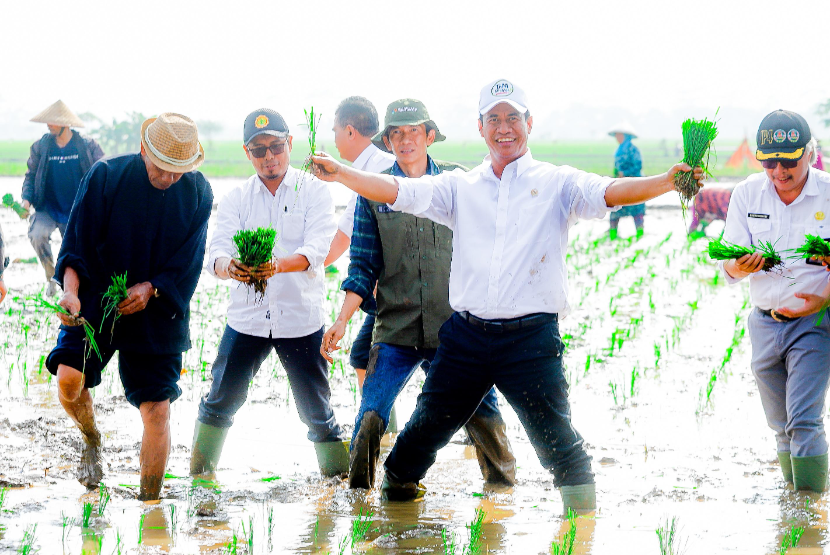 Amran Sebut Indonesia Ikut Pengaruhi Harga Beras Dunia, Kok Bisa?