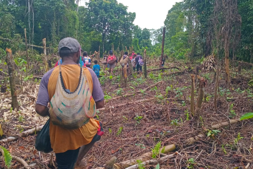 Warga Dekai, Kabupaten Yahukimo  mengungsi akibat beku tembak aparat Indonesia dengan kelompok separatis pada Jumat (15/8/2025).